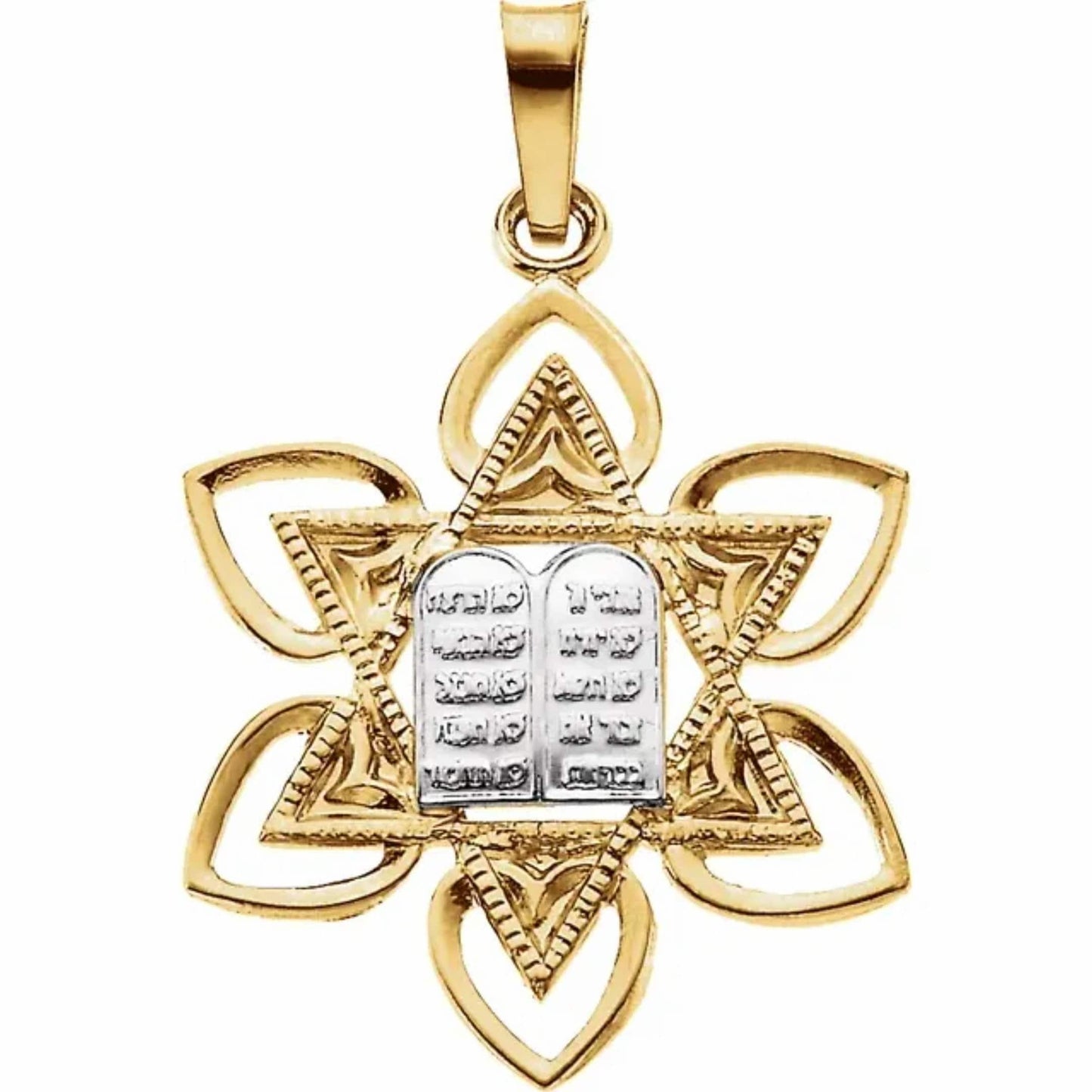 14K Yellow & White Gold Star of David and Torah Pendant